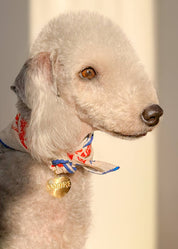 Blue Lovefold Pet + Human Bandana