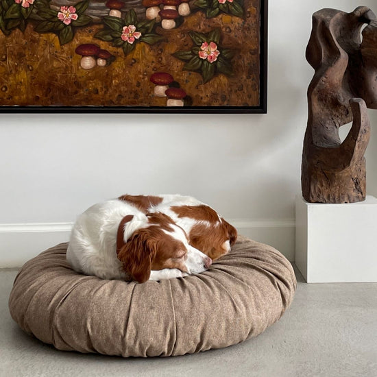 Toque Dog + Cat Bed