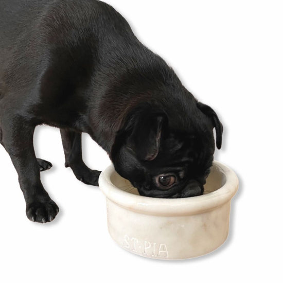 Marbowl Dog + Cat Bowl