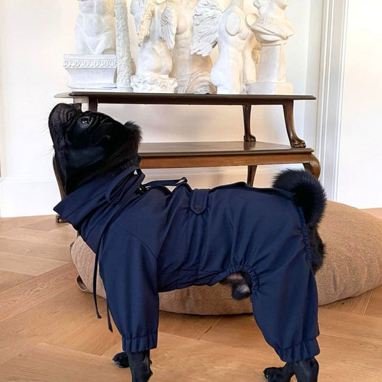 Astro Ultimate Winter Dog Coat