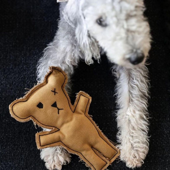 Robear Handmade Dog + Cat Toy
