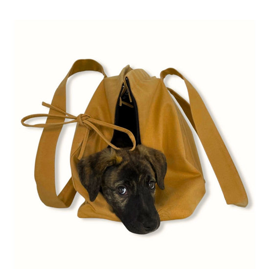 Marsu Tote Bag + Pet Carrier