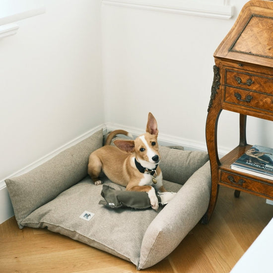 Cornette Dog + Cat Bed