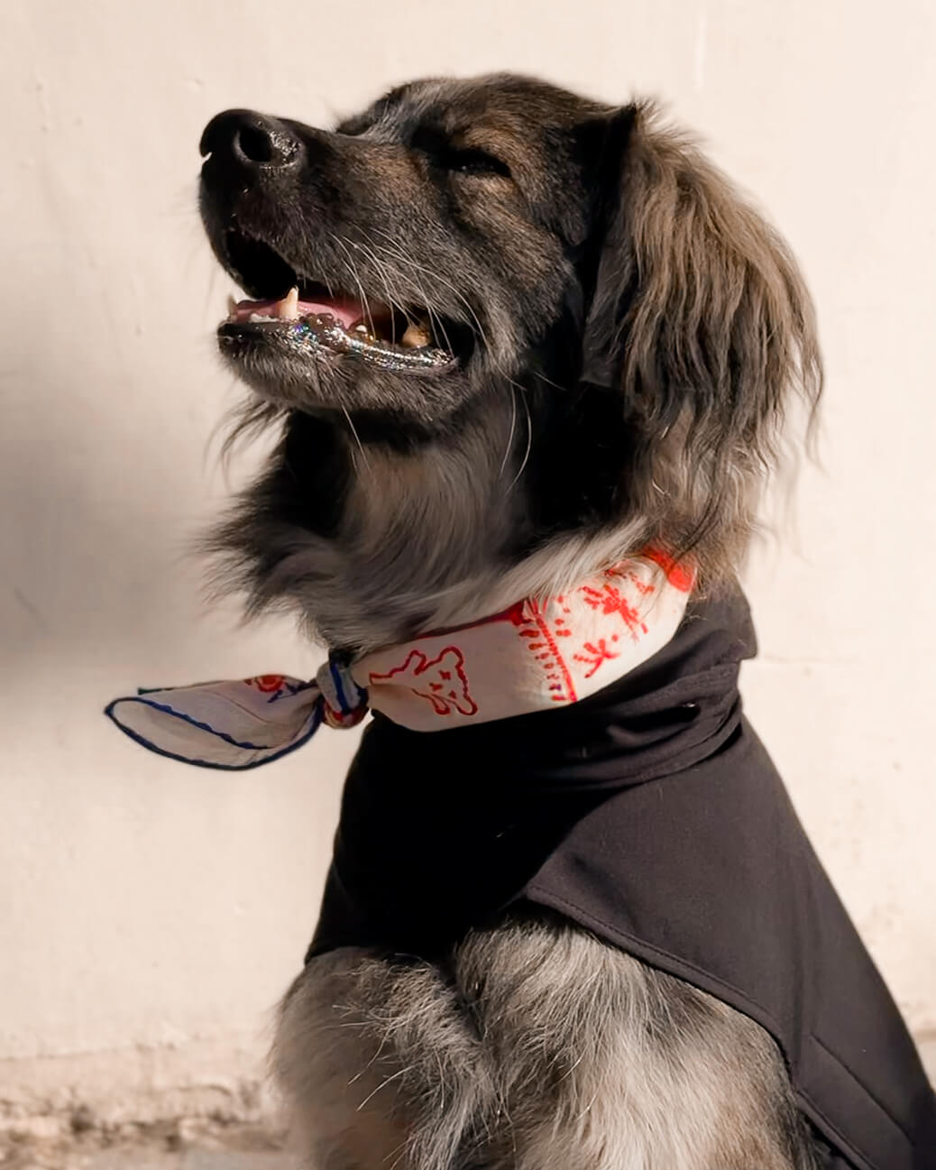 Blue Lovefold Pet + Human Bandana