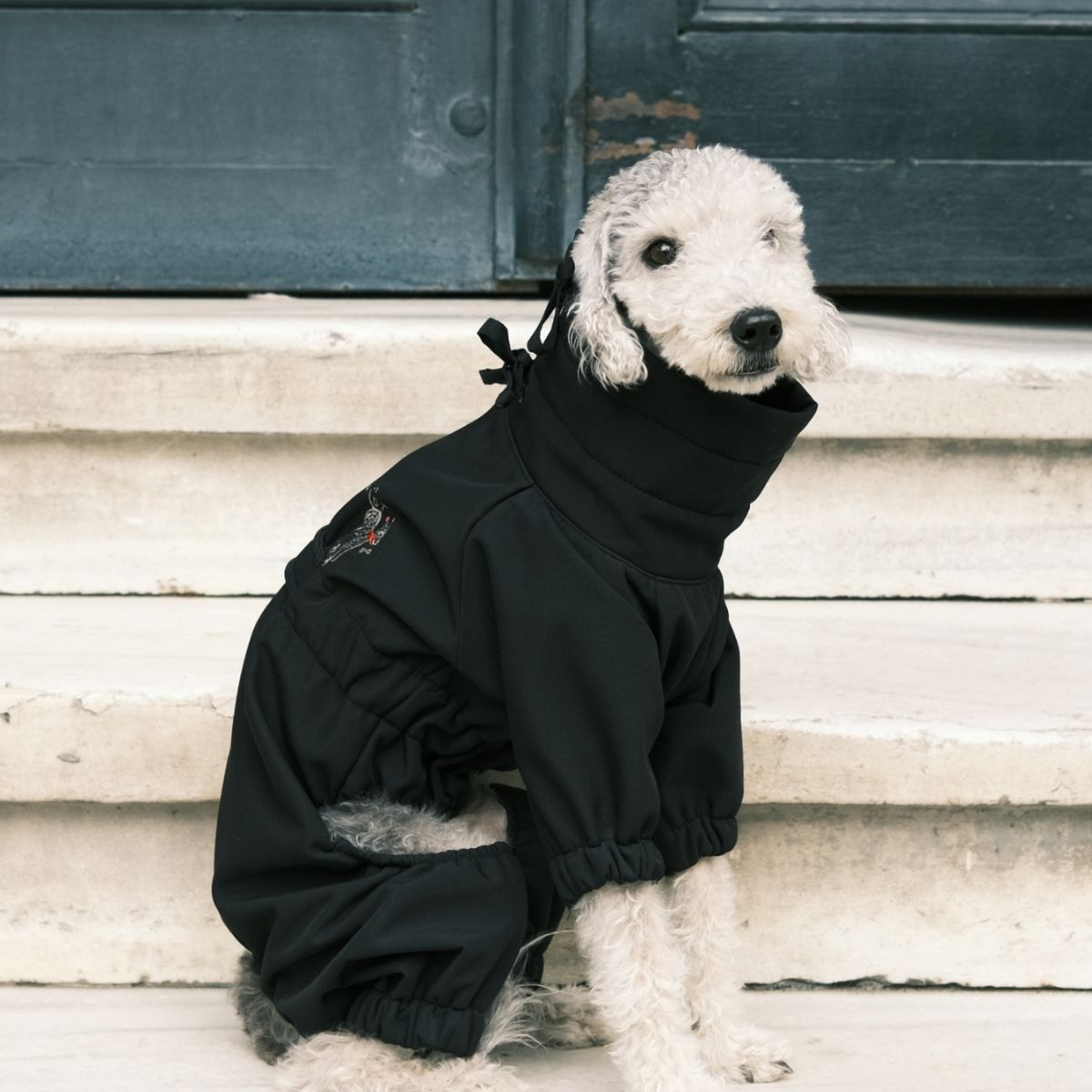 Astro Ultimate Winter Dog Coat