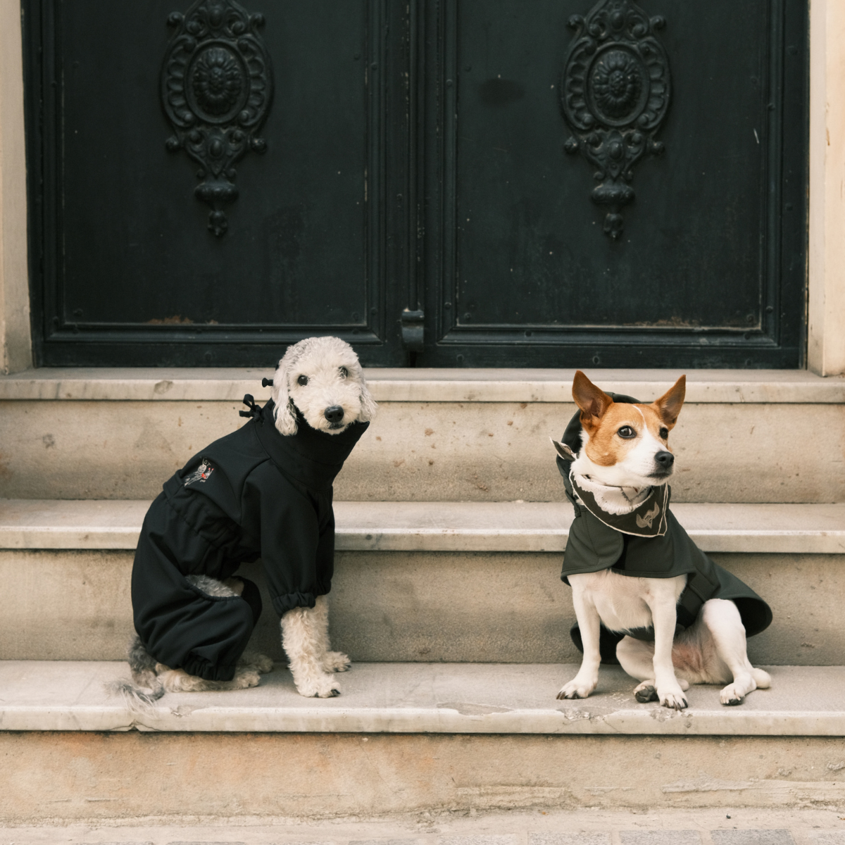 Astro Ultimate Winter Dog Coat St. Pia