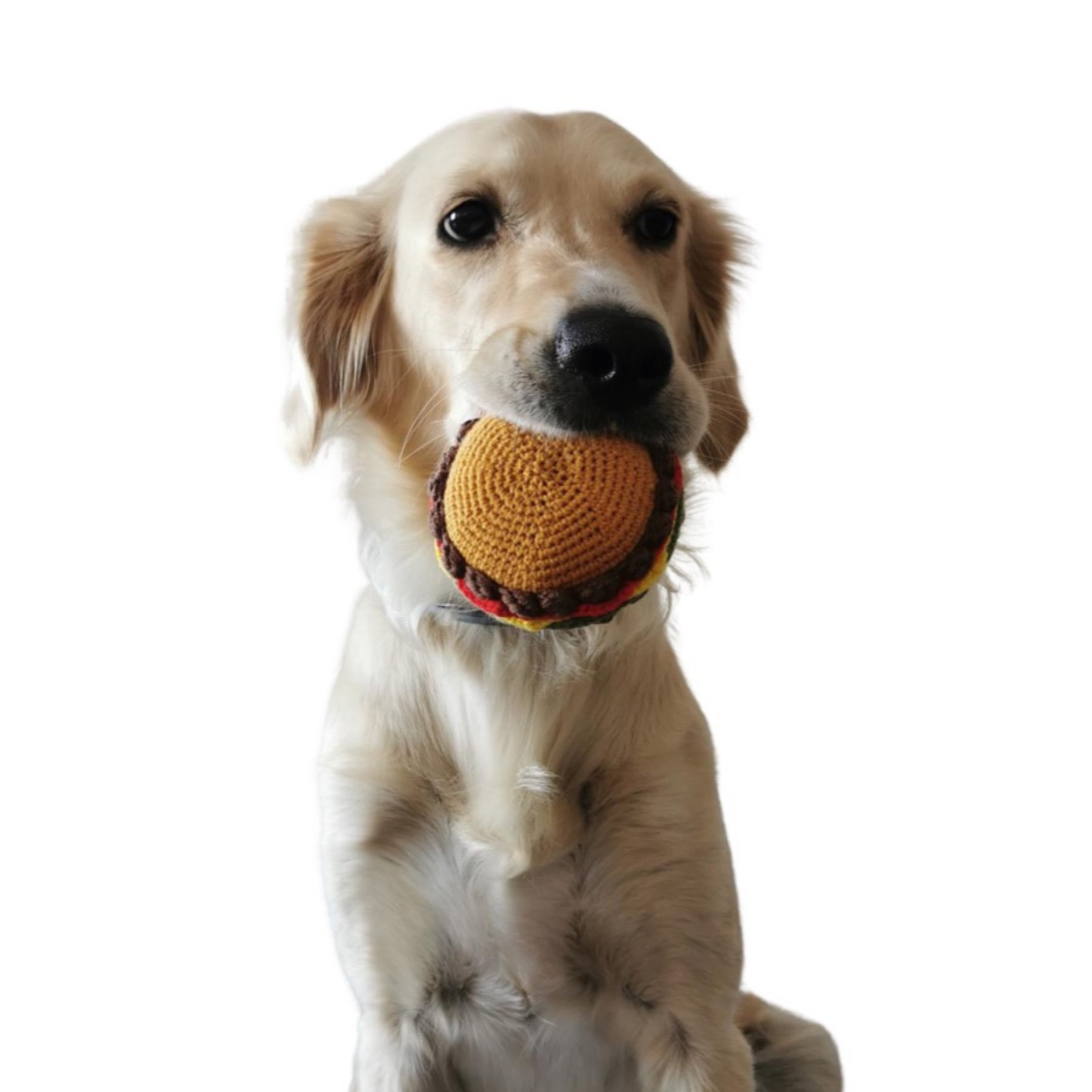 Burger El Yapımı Kedi + Köpek Oyuncağı