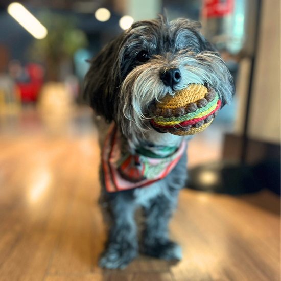 Burger El Yapımı Kedi + Köpek Oyuncağı