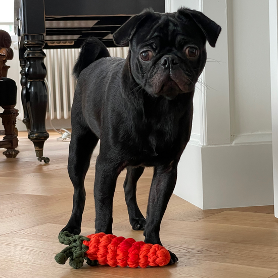 Carrot Handmade Dog + Cat Toy