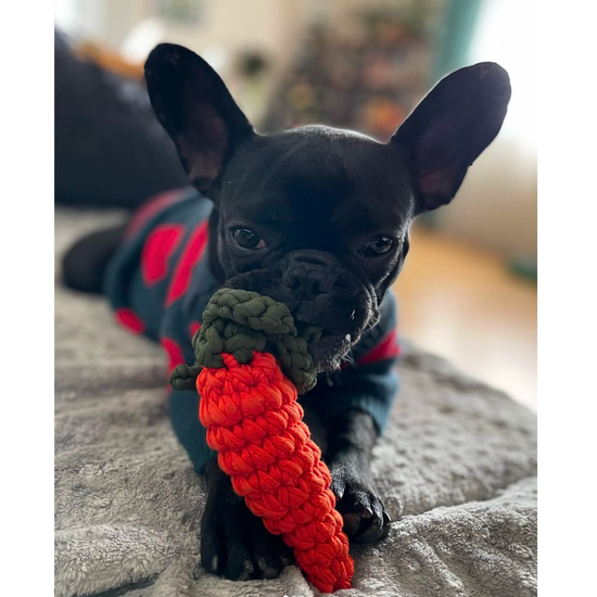 Carrot Handmade Dog + Cat Toy