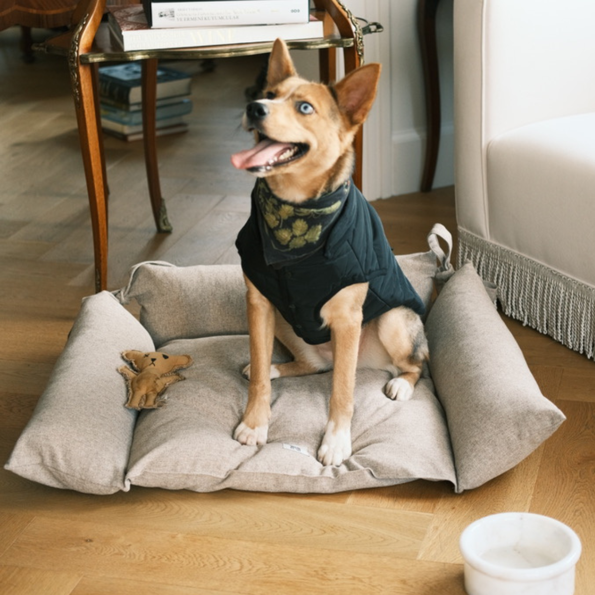 Cornette Dog + Cat Bed