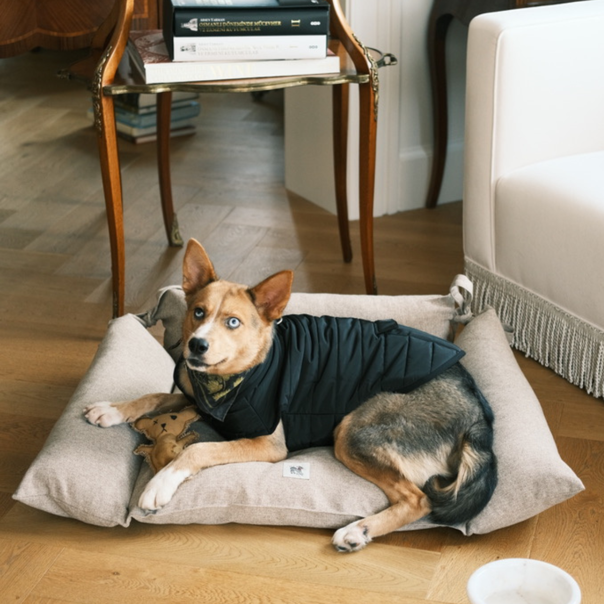 Cornette Dog + Cat Bed