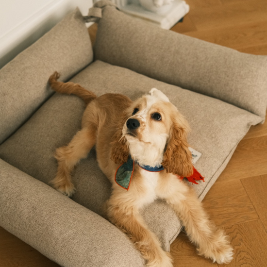 Cornette Dog + Cat Bed