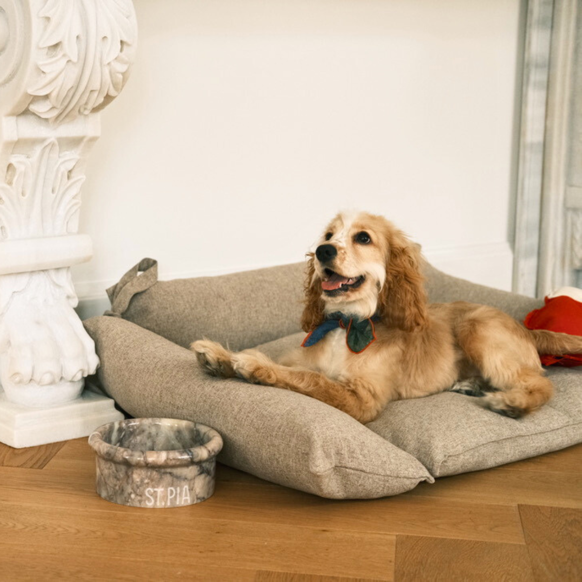 Cornette Dog + Cat Bed