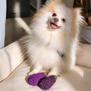 Eggplant Handmade Dog + Cat Toy