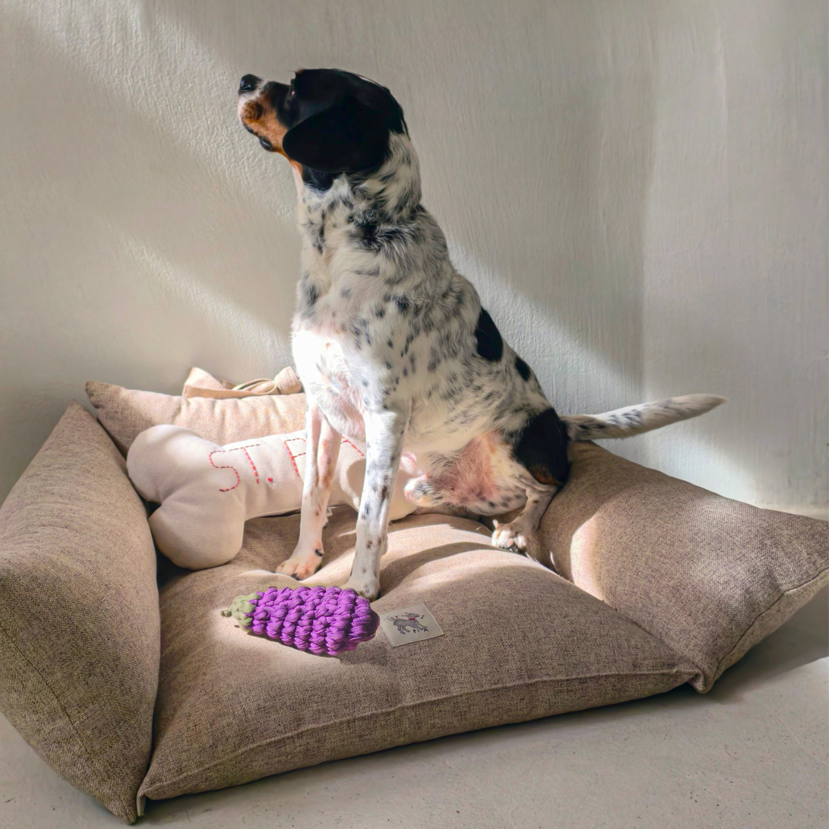 Eggplant Handmade Dog + Cat Toy