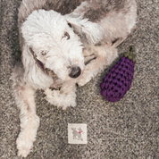 Eggplant Handmade Dog + Cat Toy