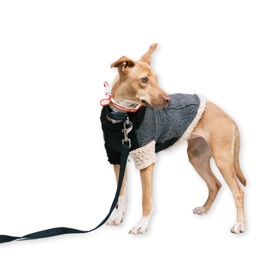 Hiker Fleece Dog Jumper