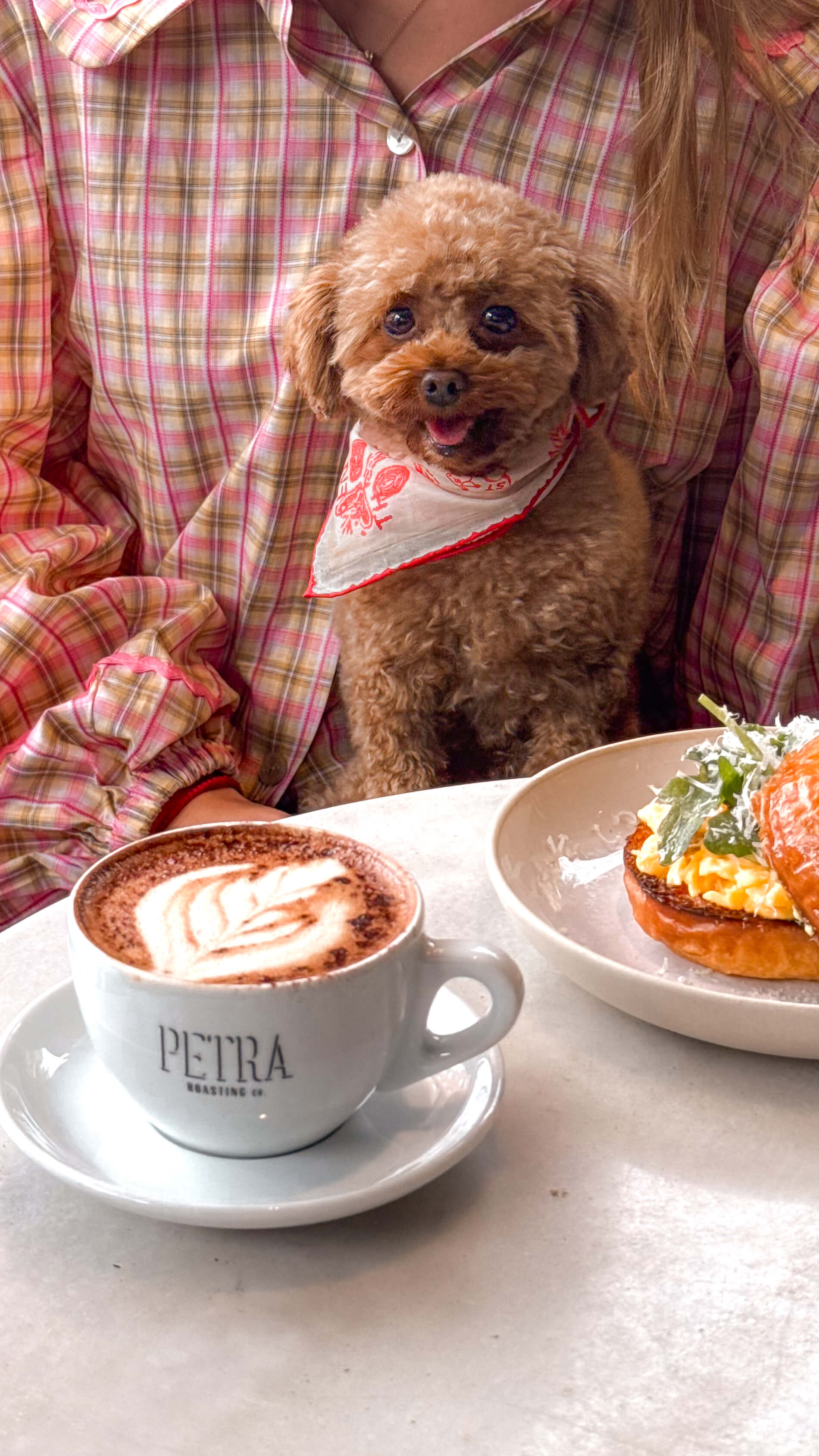 Red Lovefold Pet & Human Bandana