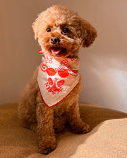 Red Lovefold Pet & Human Bandana
