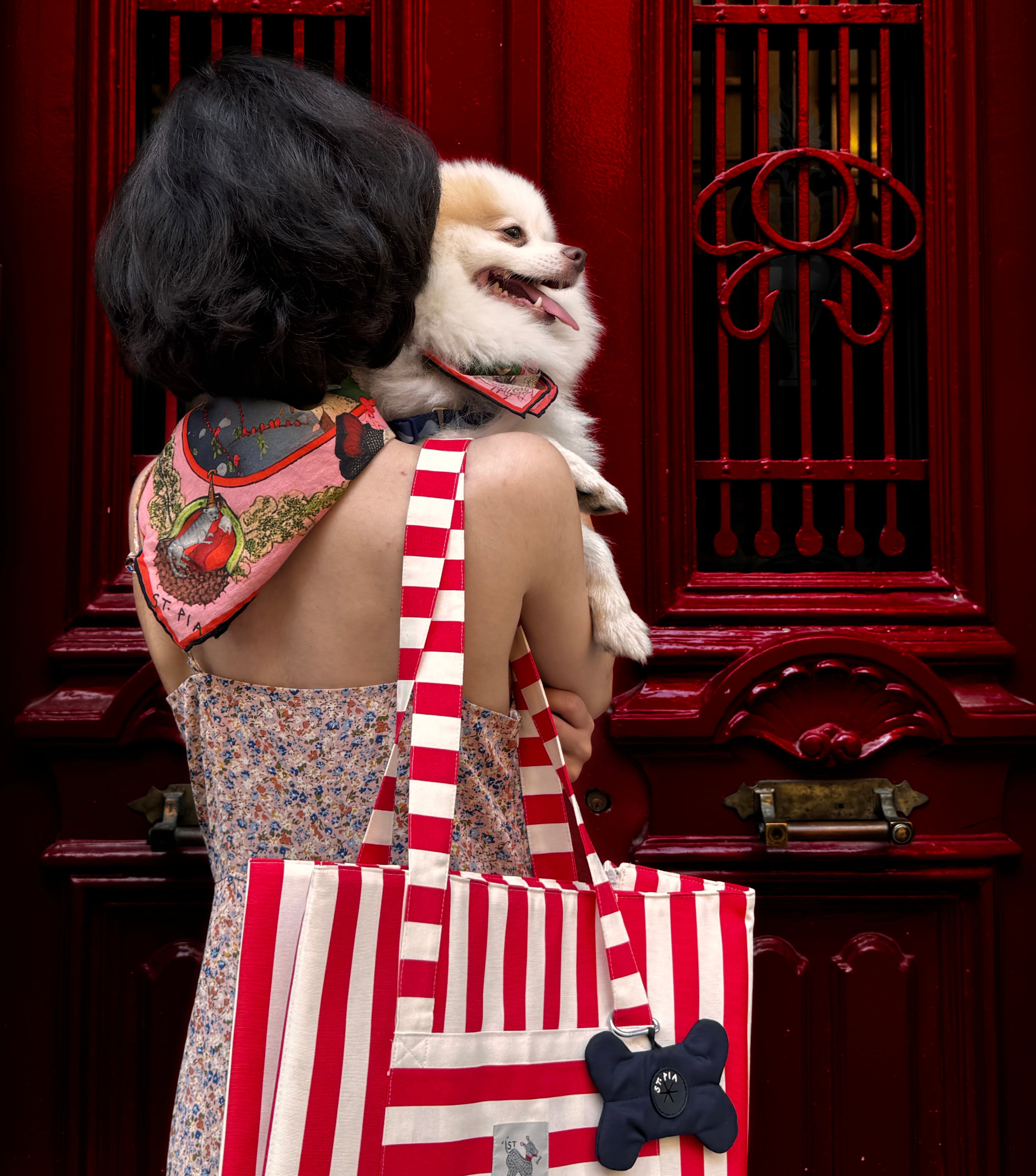 Belong Pet + Human Bandana