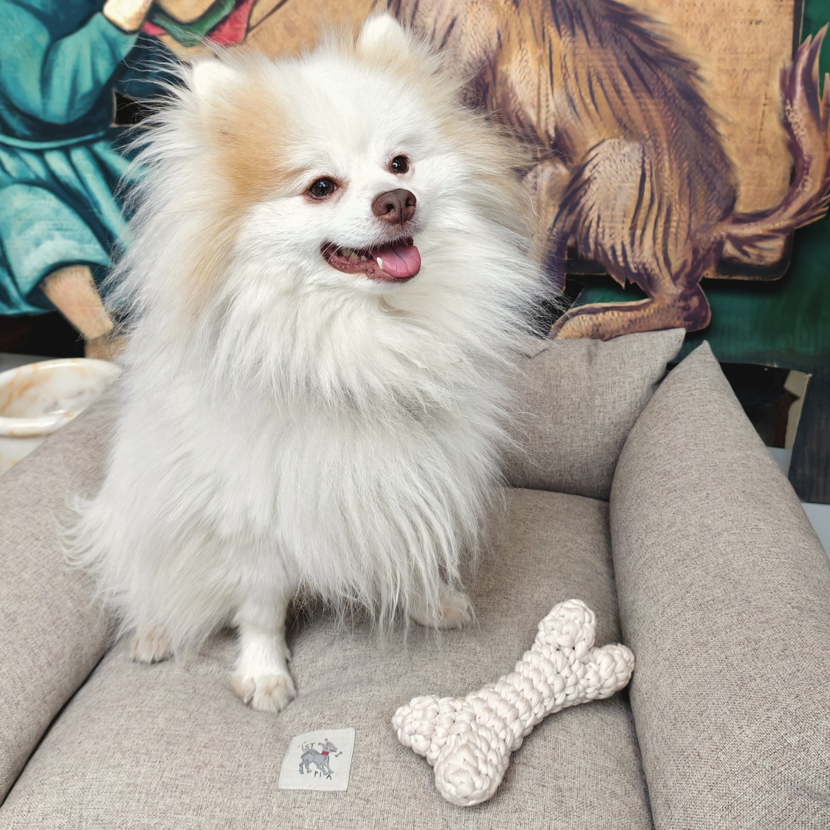 Kemik Handmade Dog + Cat Toy