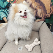 Kemik Handmade Dog + Cat Toy