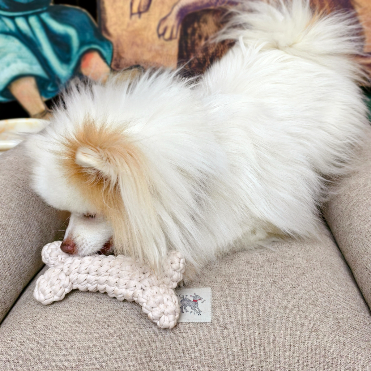 Kemik Handmade Dog + Cat Toy