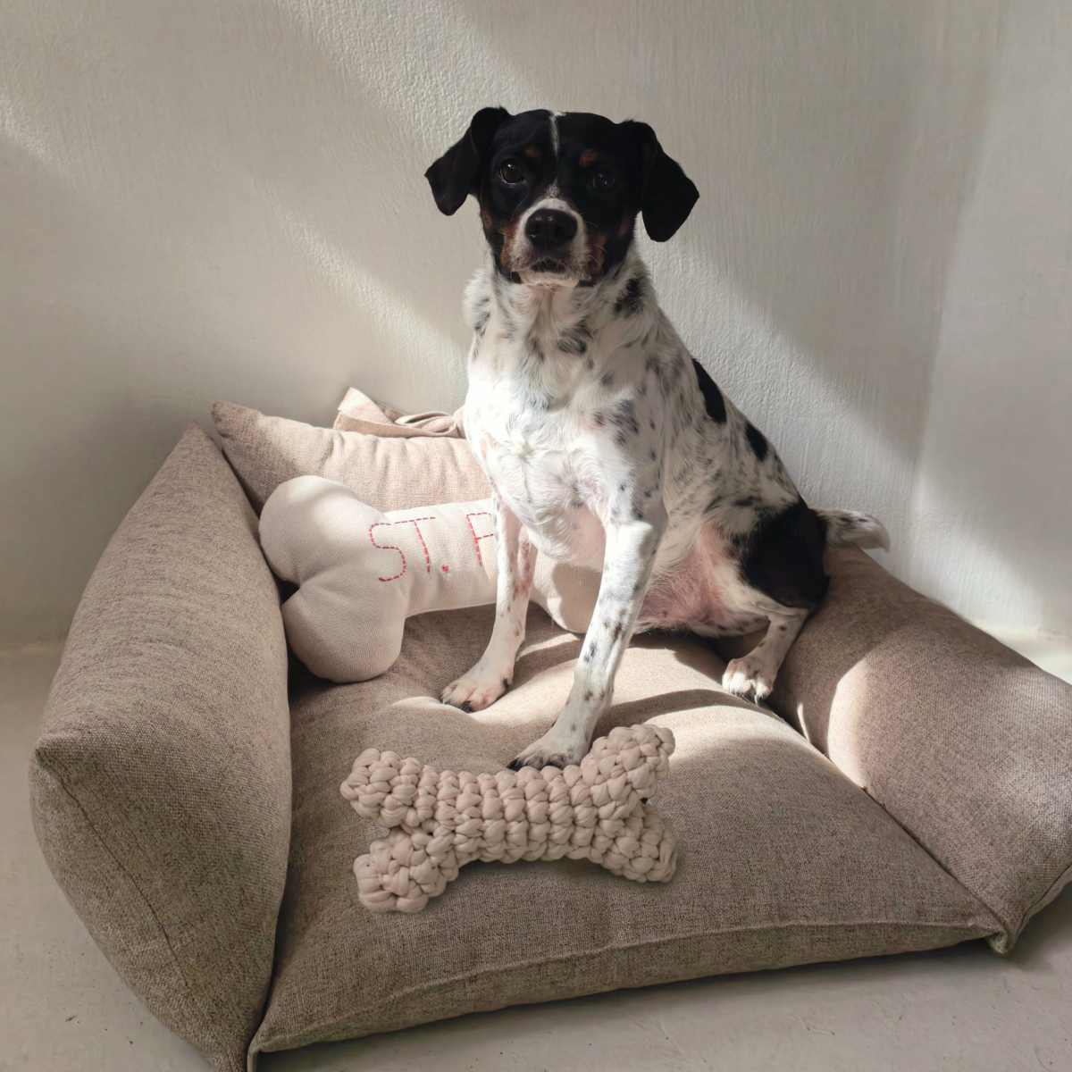 Kemik Handmade Dog + Cat Toy