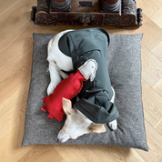 Marico Kuş El Yapımı Kedi + Köpek Oyuncağı