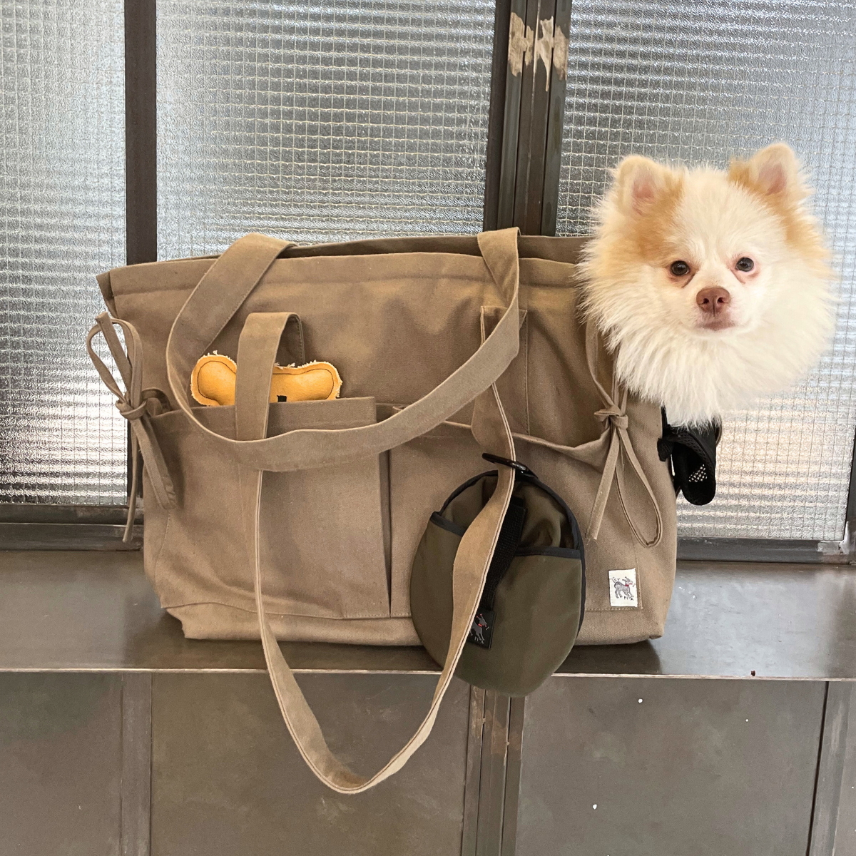 Marsu Tote Bag + Pet Carrier