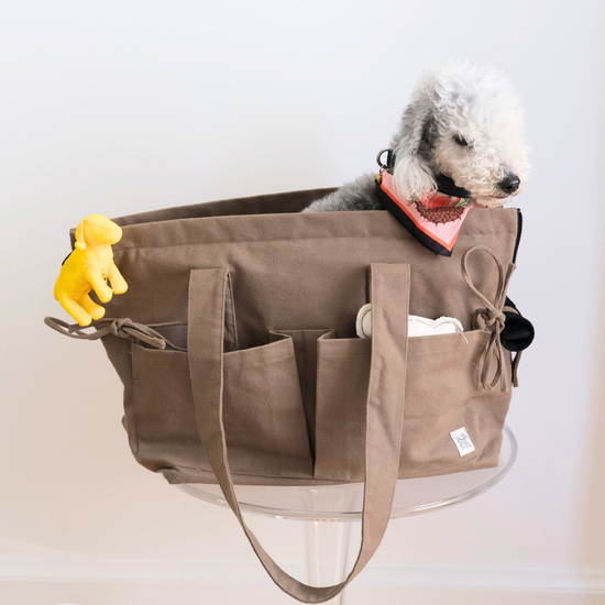 Marsu Tote Bag + Pet Carrier