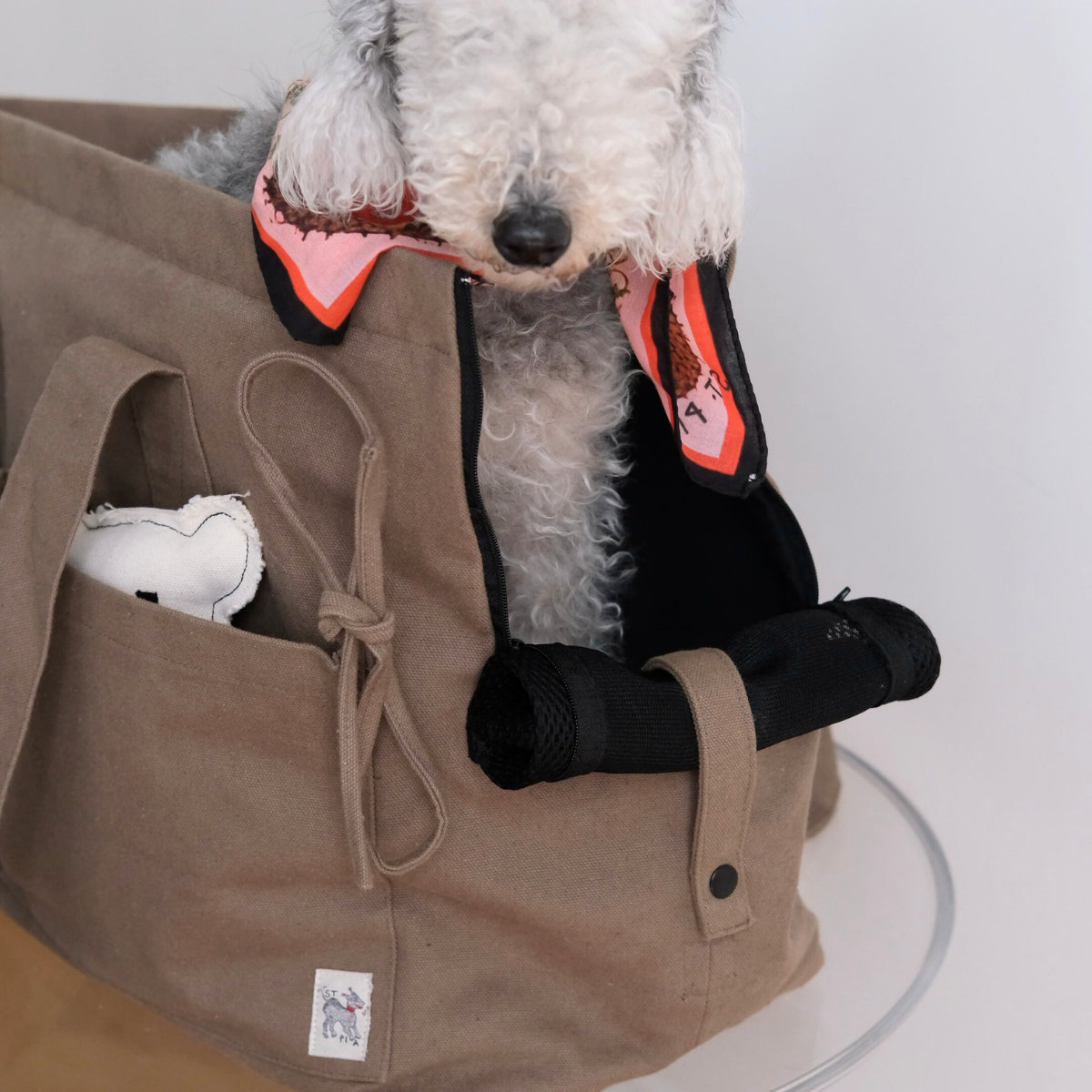 Marsu Tote Bag + Pet Carrier