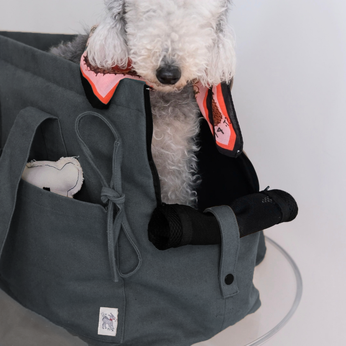 Marsu Tote Bag + Pet Carrier