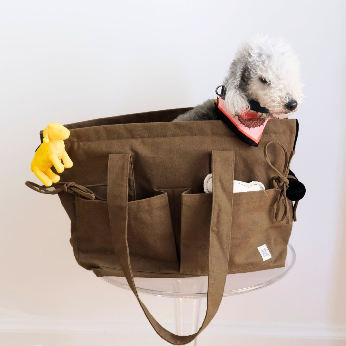 Marsu Köpek Taşıma Çantası