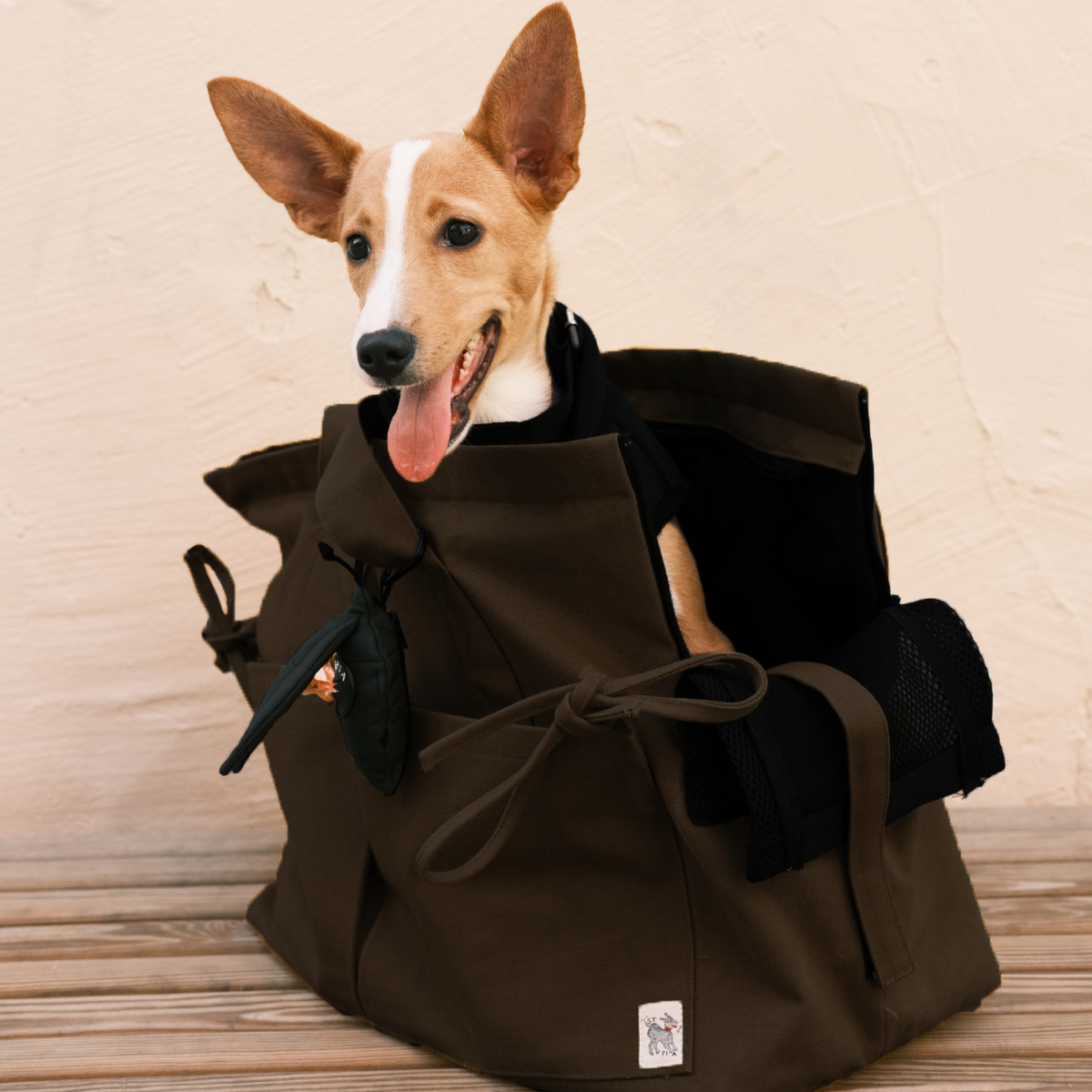 Marsu Tote Bag + Pet Carrier
