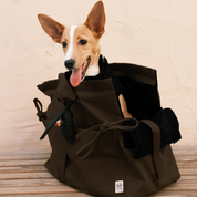 Marsu Tote Bag + Pet Carrier
