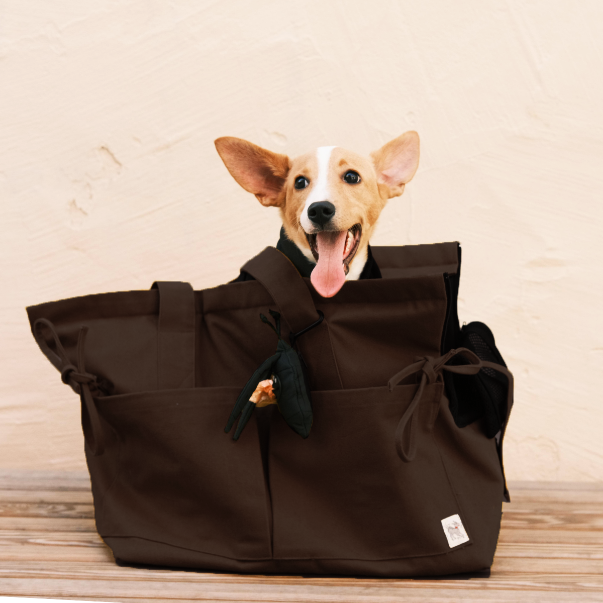 Marsu Tote Bag + Pet Carrier