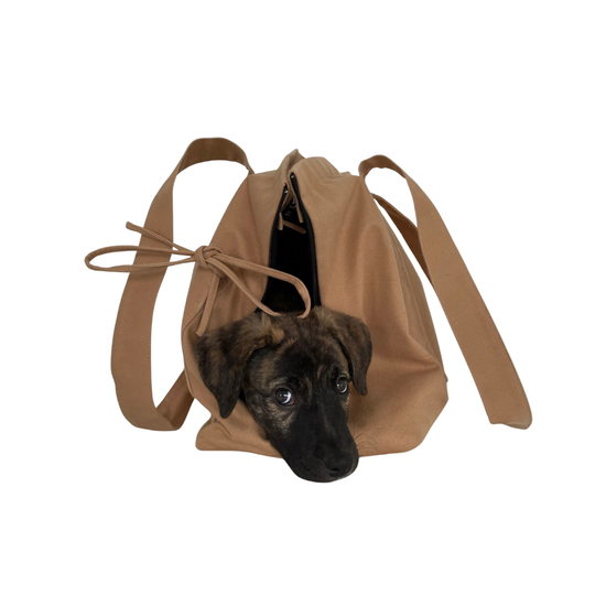 Marsu Tote Bag + Pet Carrier