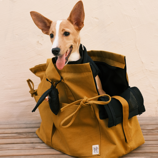 Marsu Tote Bag + Pet Carrier