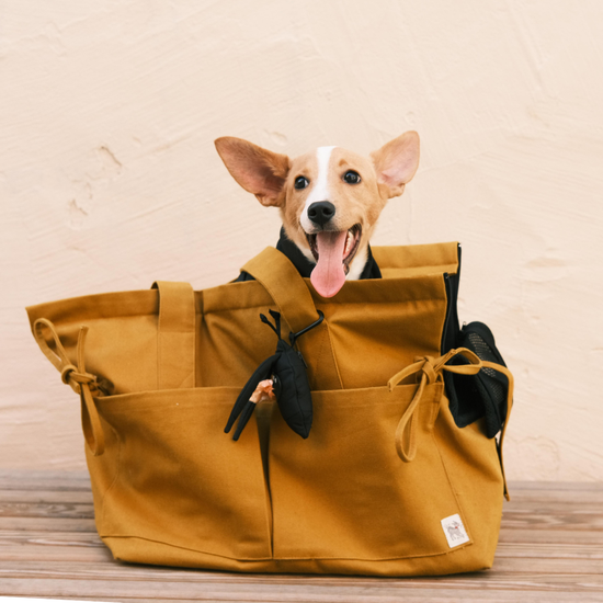 Marsu Tote Bag + Pet Carrier