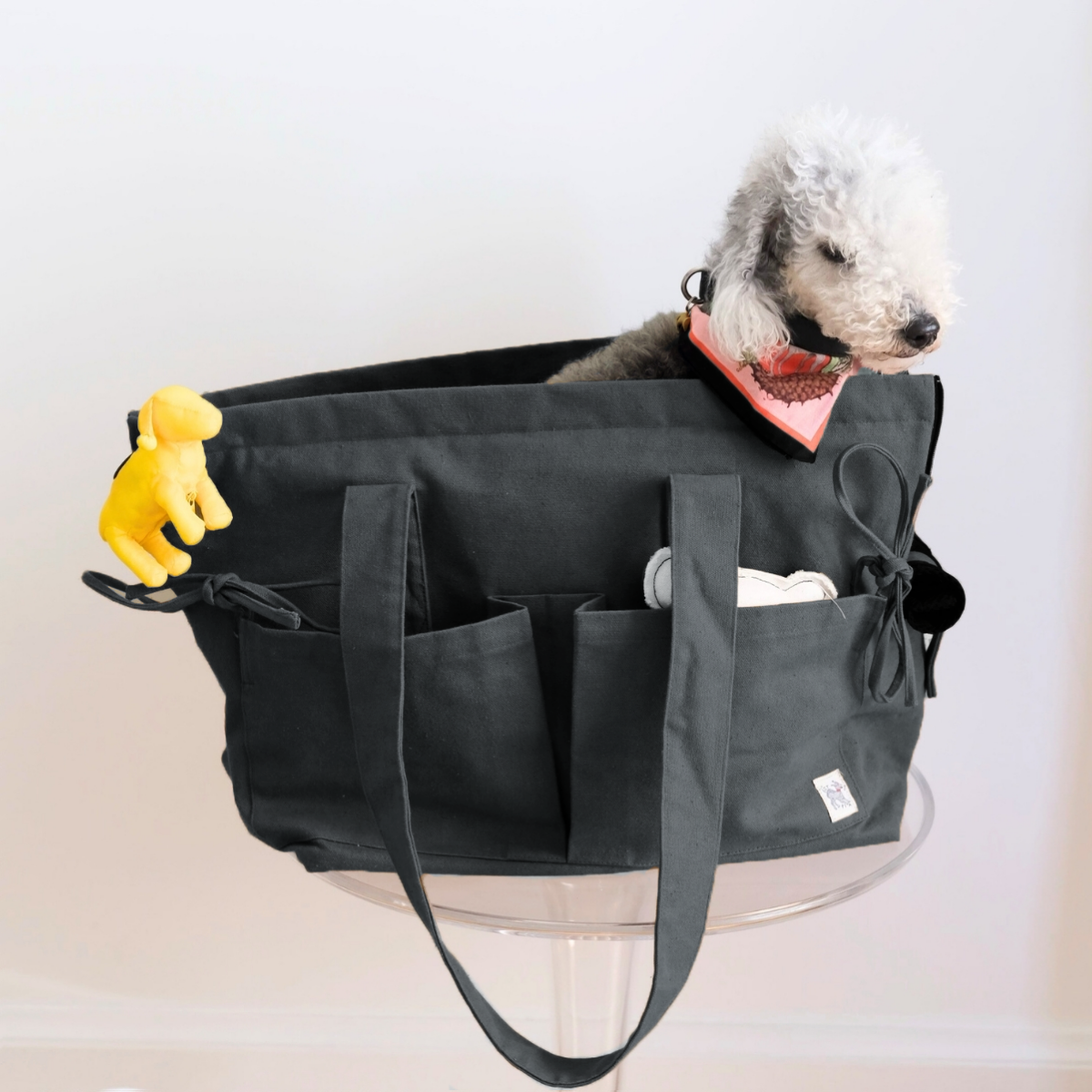 Marsu Tote Bag + Pet Carrier