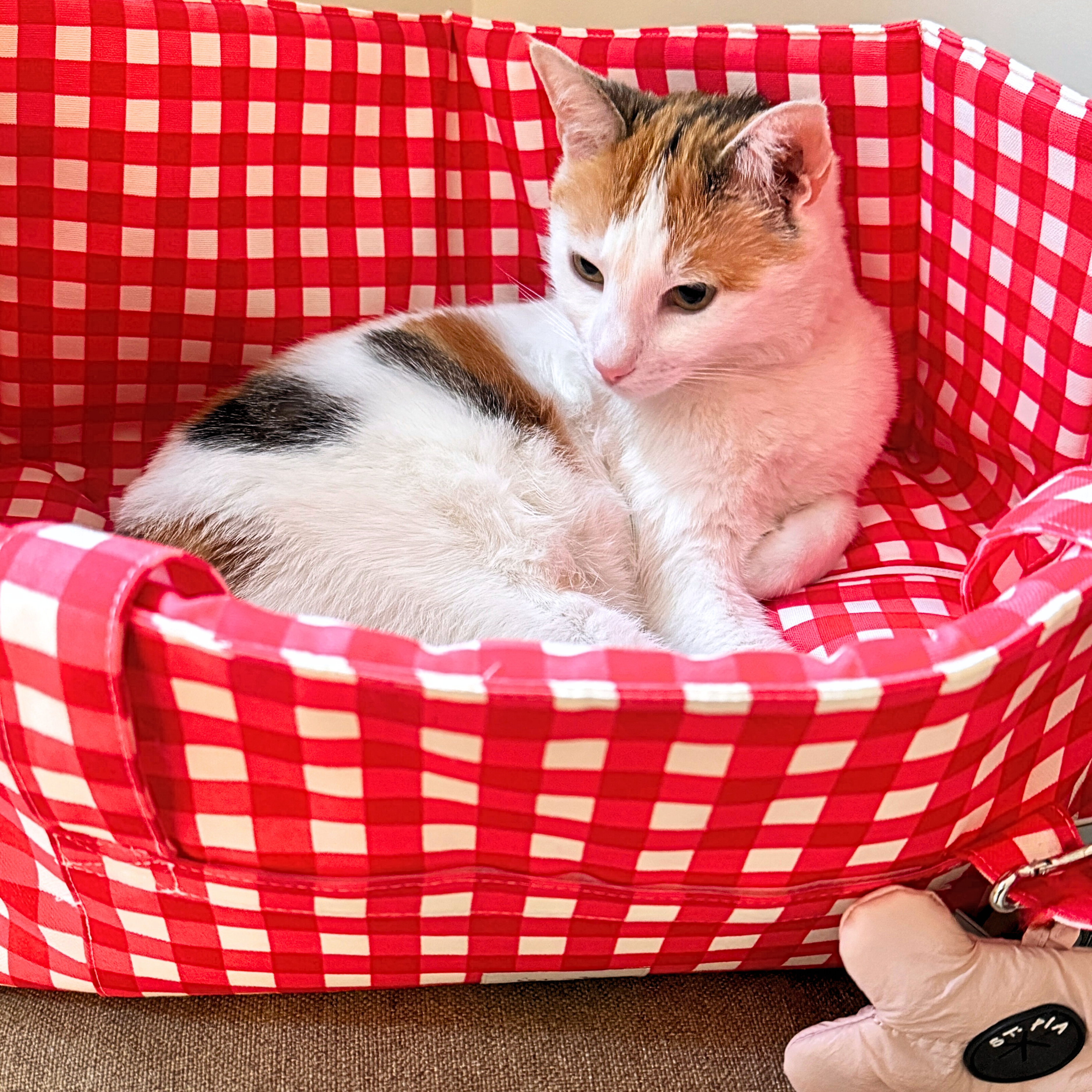 Mat-In-A-Bag Foldable Tote + Floor Cushion