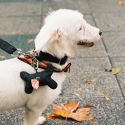 Osso Poop Bag Holder