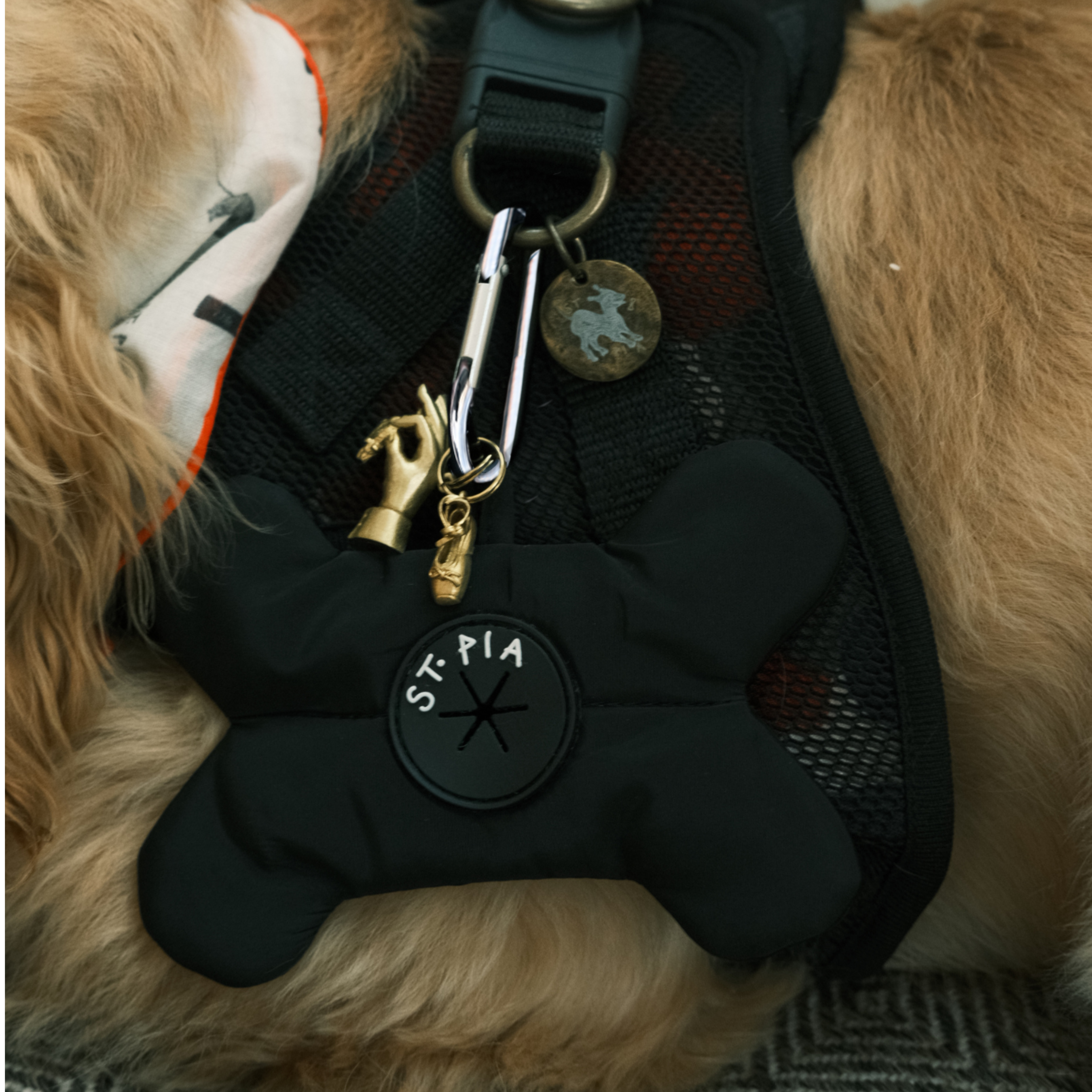 Osso_Poop_Bag_Holder_-_Black_-_LS_04_0b9b839b-3b4c-4b5e-924a-c18530e3cd5f.png