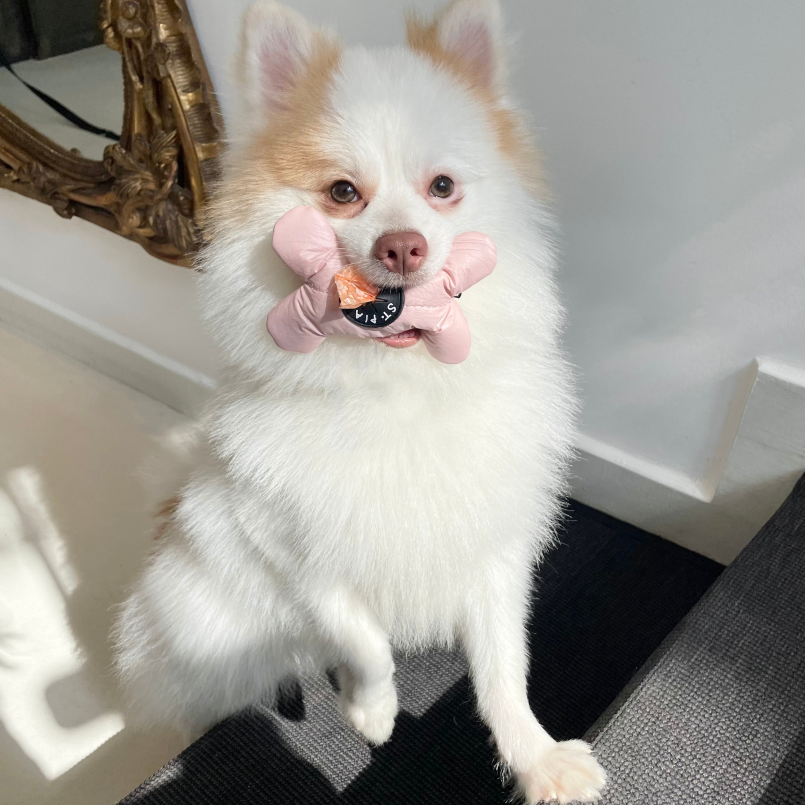 Osso Poop Bag Holder