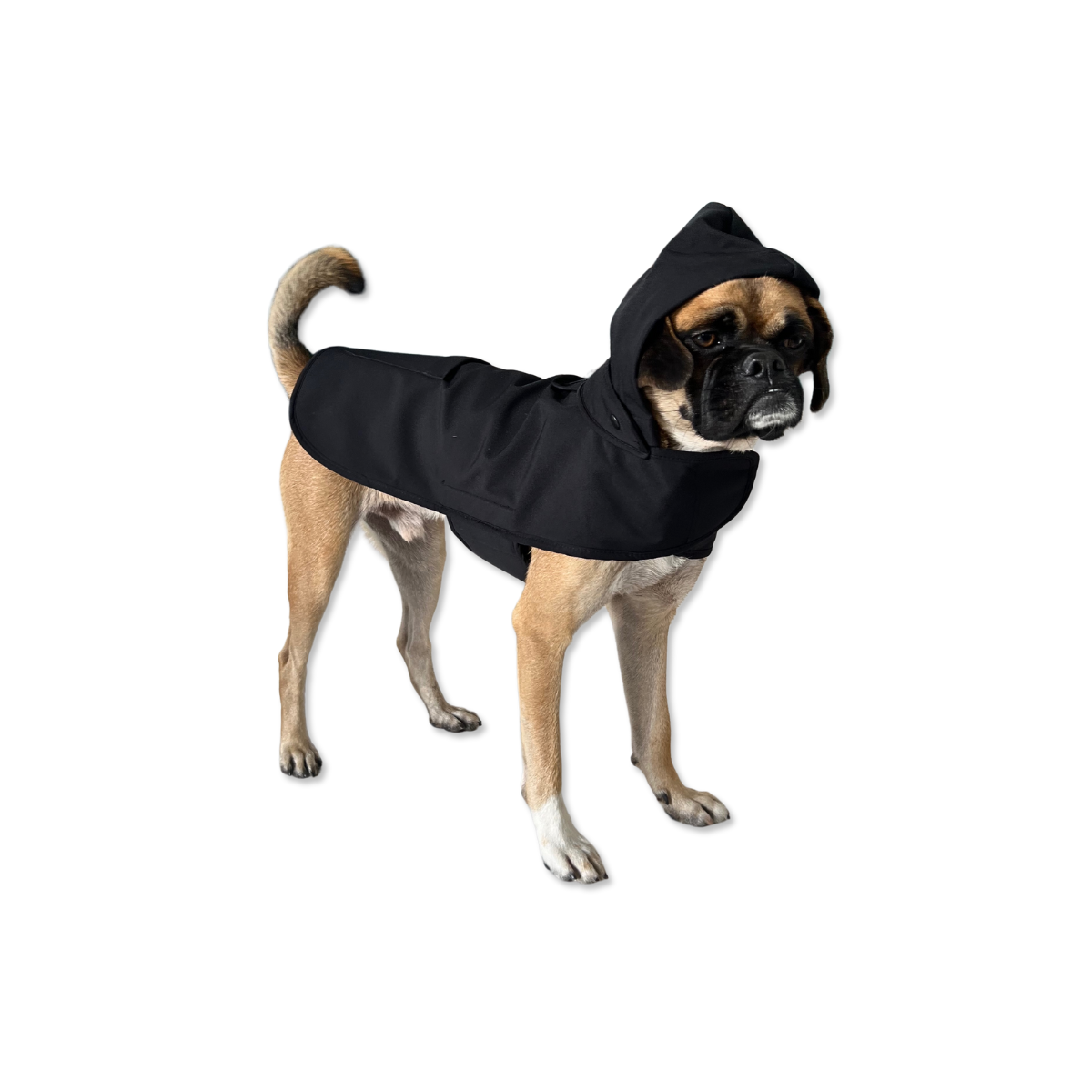 Pluvio Dog Raincoat