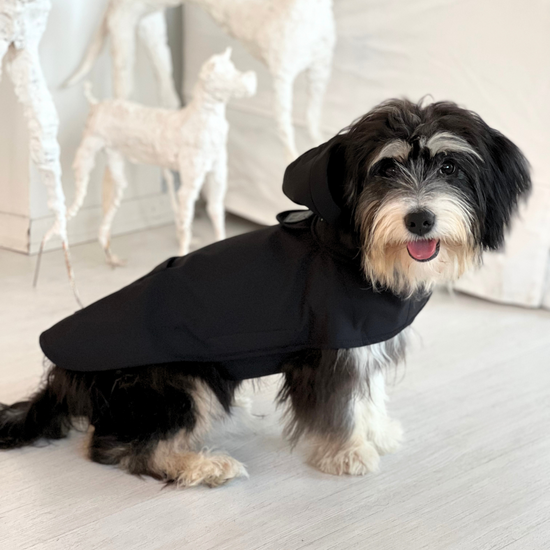 Pluvio Dog Raincoat