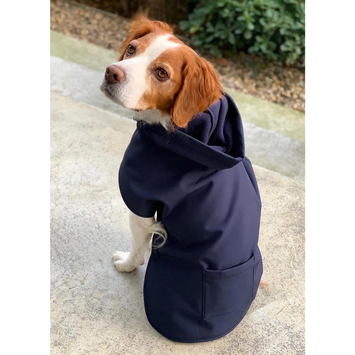 Pluvio Dog Raincoat