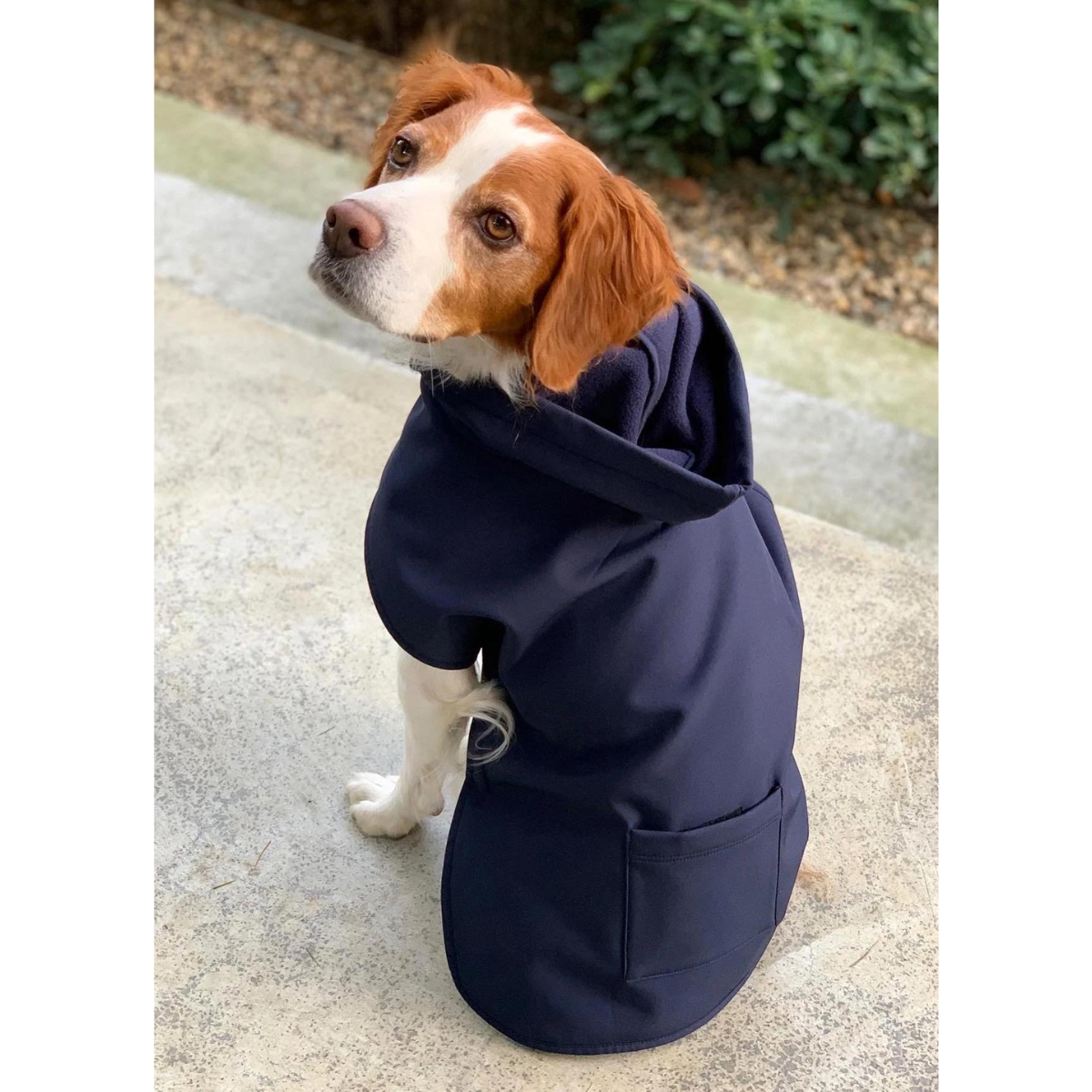 Raincoat for beagle hot sale